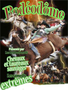 Rodeo dome