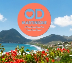 OD MARTINIQUE