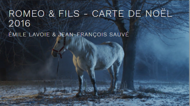 cartes-de-noel